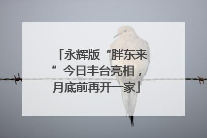 永辉版“胖东来”今日丰台亮相，月底前再开一家